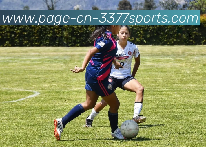 3377体育品牌故事