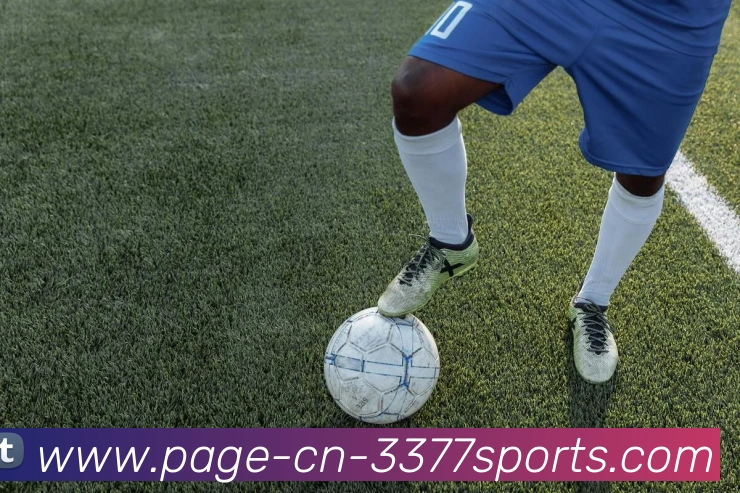 3377体育服务体系